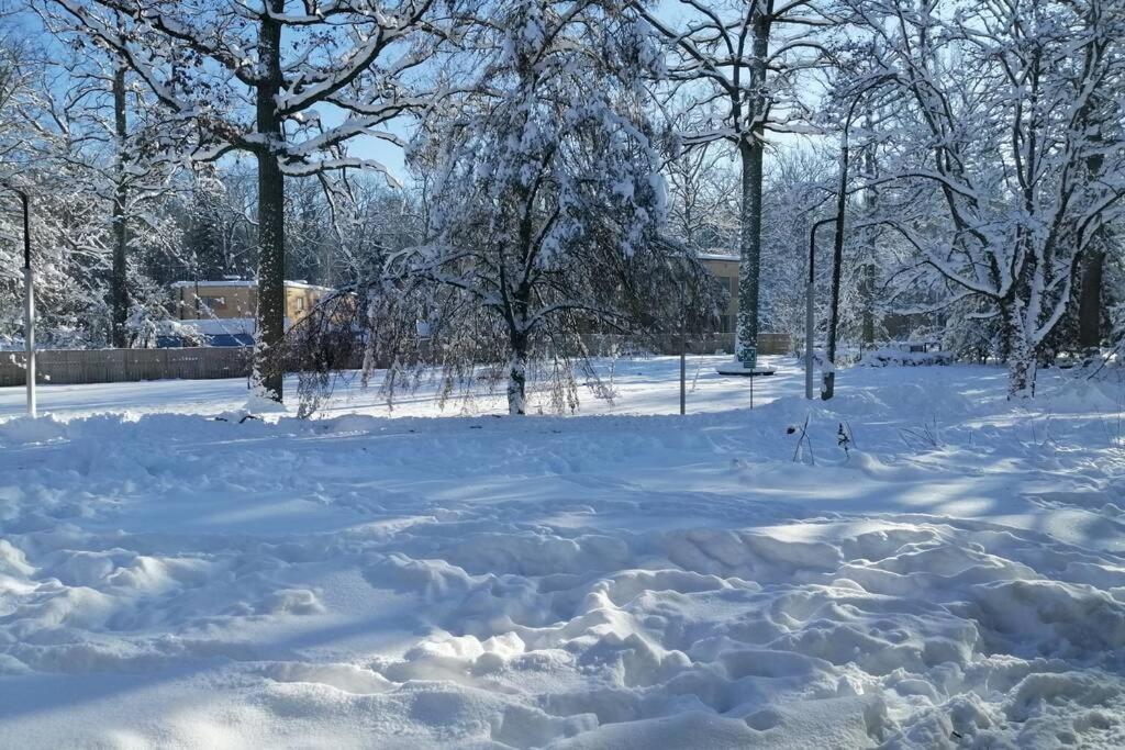 Nowoczesny Apartament W Puszczy Bialowieskiej Hajnówka Екстериор снимка